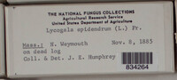 Image Associated With the Occurence